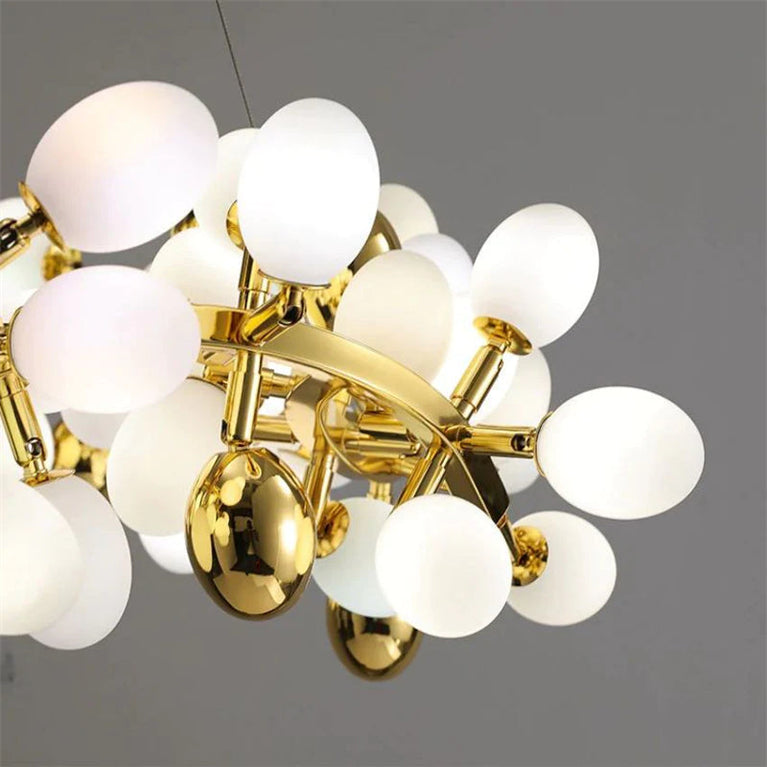 Niall Grape Shape Round Chandelier for Dinning
