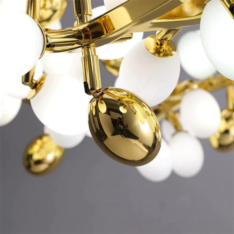 Niall Grape Shape Round Chandelier for Dinning